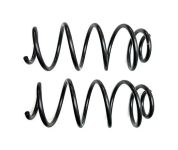 Пружины 1117, 1119 передние "SSD" (бочка)